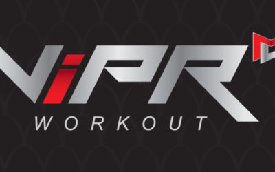 ViPR Launch