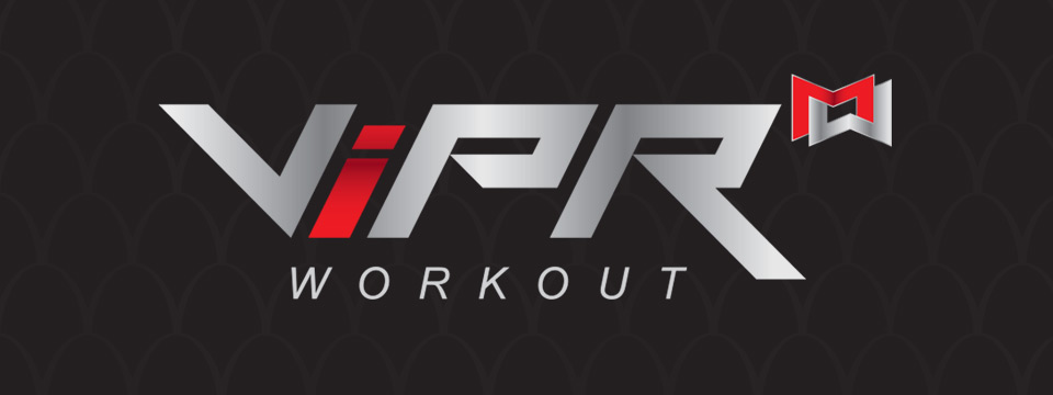 ViPR Launch